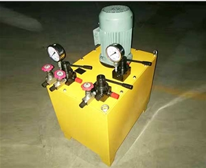 广州非标电动泵生产