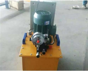 广州标准电动泵供应生产
