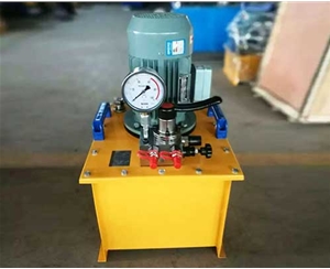 广州标准电动泵生产厂家供应